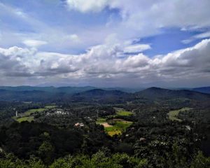Heaven of Filter Coffee, Handmade Chocolates and Homemade Wines: Coorg 5