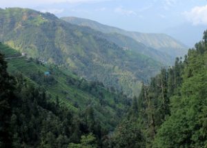 Barot, Himachal Pradesh: The Virgin Travel Destination 3
