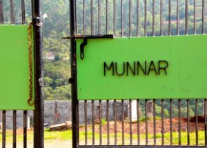 Munnar- A pristine town of God’s Own Country, Kerala 1