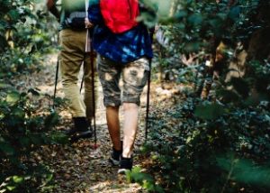 two people with backpacks trekking in the forest