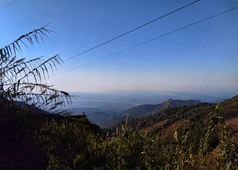 Darjeeling View