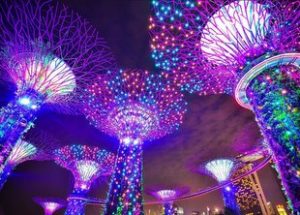 8 Top-Rated Tourist Attractions in Singapore {Updated 2020} 3