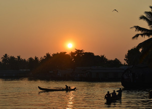 Alleppey - The Venetian Capital of India 7