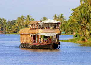 Alleppey - The Venetian Capital of India 5