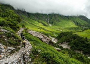 Valley of flowers Himalayan Gypsy-Best Travel Blogger India-Best Travel Photographer India-Abhishek Saraswat