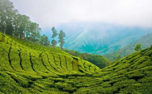 Best Places to visit in India with your Better-Half 3