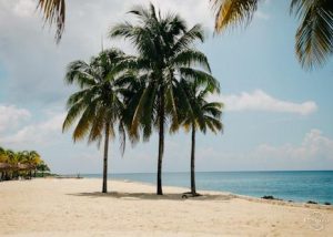 10 Best Beaches in India (2020) 2