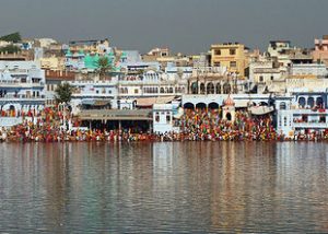 Pushkar Camel Fair 2020-Things You Need To Know Before You Go 4