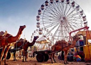 Pushkar Camel Fair 2020-Things You Need To Know Before You Go 2
