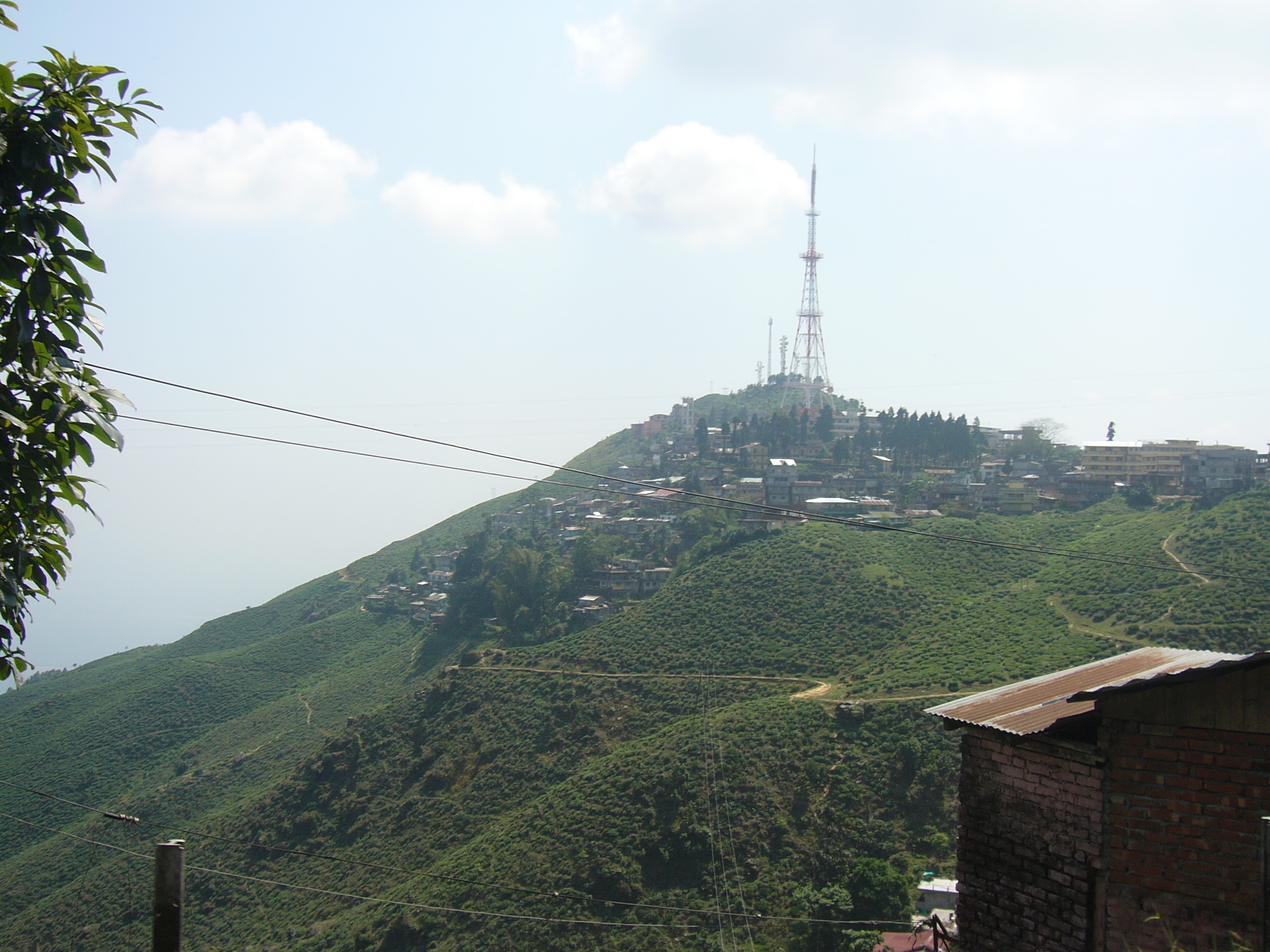 Kurseong_Darjeeling_West_Bengal_India_(2)